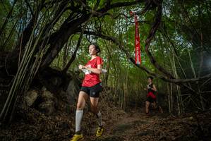 BIB: 
                            <button type="button" onclick="openModal(22177268)" class="btn btn-primary btn-sm float-right btn-popup" data-toggle="modal" data-target=".modal-high-quality">
                        <i class="fas fa-shopping-cart"></i> Add to Cart
                    </button>
                                            <button type="button" onclick="isThisMe(22177268, true)" class="btn btn-success btn-sm float-right btn-popup btn-isme hidden" data-toggle="tooltip" data-placement="bottom" title="นี่คือรูปของคุณใช่ไหม คลิกที่นี่เพื่อเอาเข้าอัลบั้ม">
                        <i class="fas fa-plus"></i> Add to album
                    </button>
                    <button type="button" onclick="isThisMe(22177268, false)" class="btn btn-warning btn-sm float-right btn-popup btn-isnotme hidden">
                        <i class="fas fa-ban"></i> Remove from album
                    </button>